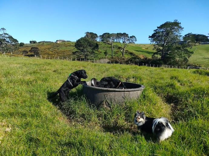 Outdoor Enrichment & Wellbeing Days Out